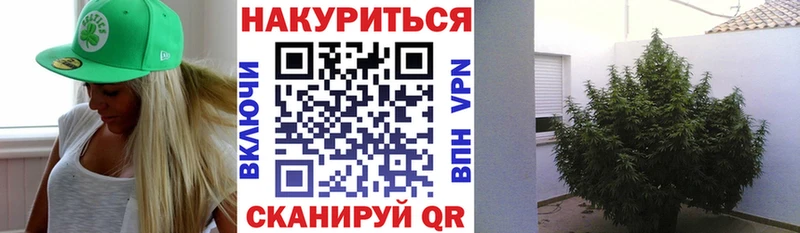 Где найти наркотики Новотроицк МАРИХУАНА  APVP  ГАШ  Мефедрон 