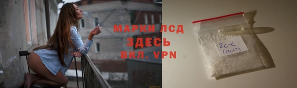 прущие грибы Наволоки