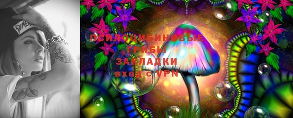 2c-b Нефтегорск
